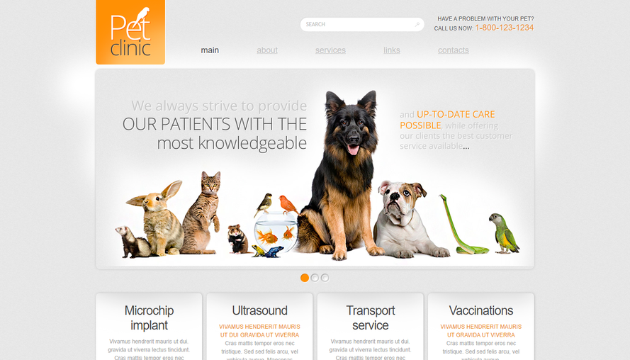 Gray beautiful and atmospheric pet dog market whole site template