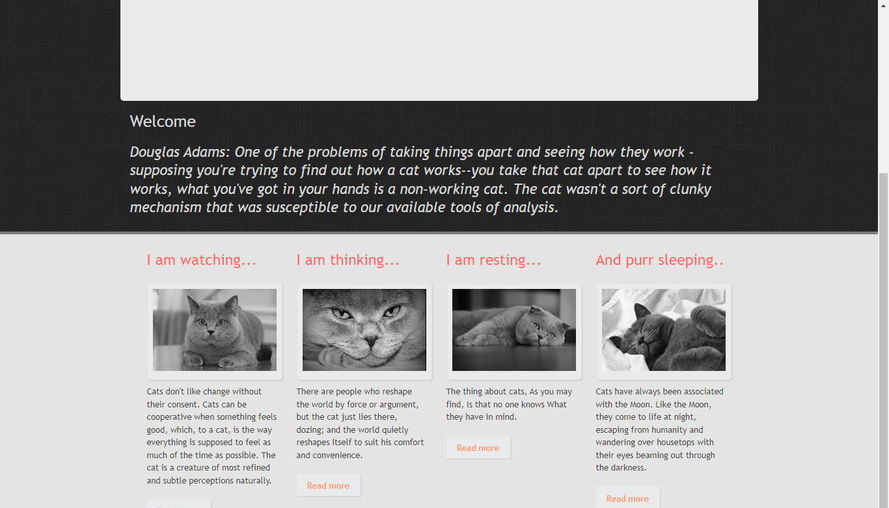纯色漂亮的宠物猫企业网站模板