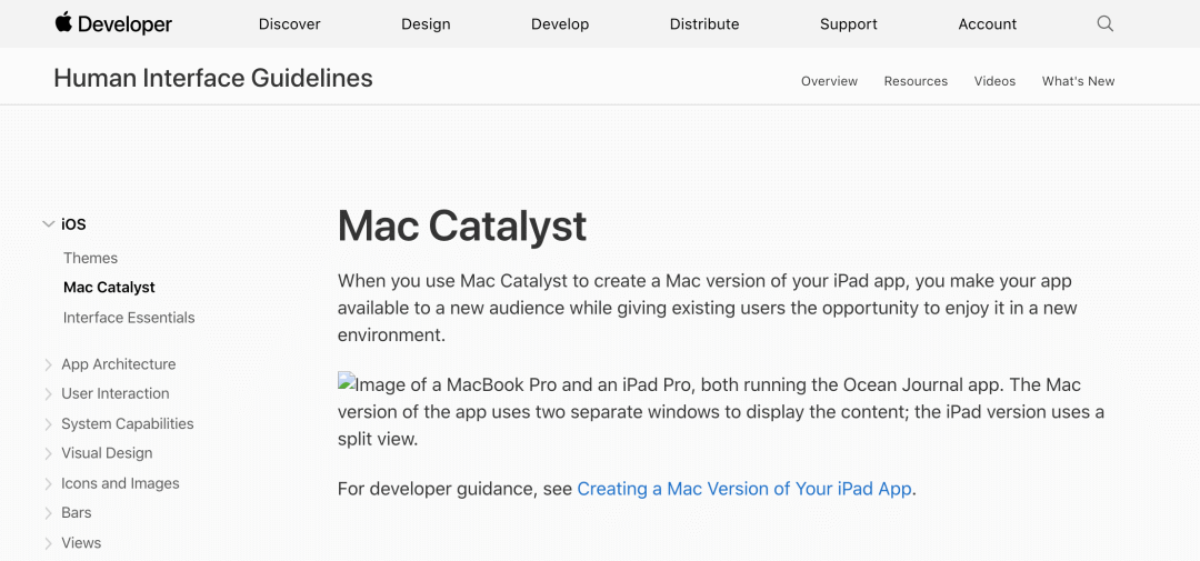 设计师要知道的 macOS 11 核心设计规范