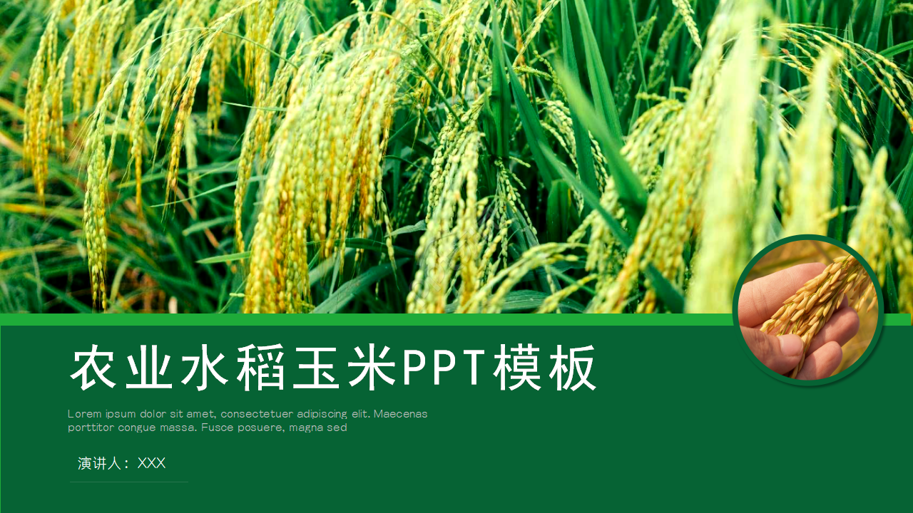 Agricultural product farming rice ppt template download recommended