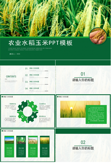农产品养殖水稻ppt模板下载推荐