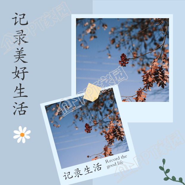 Small blue fresh record life color matching up and down double picture square jigsaw puzzle download recommended