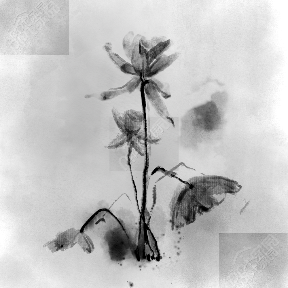 Lotus ink painting picture download recommended