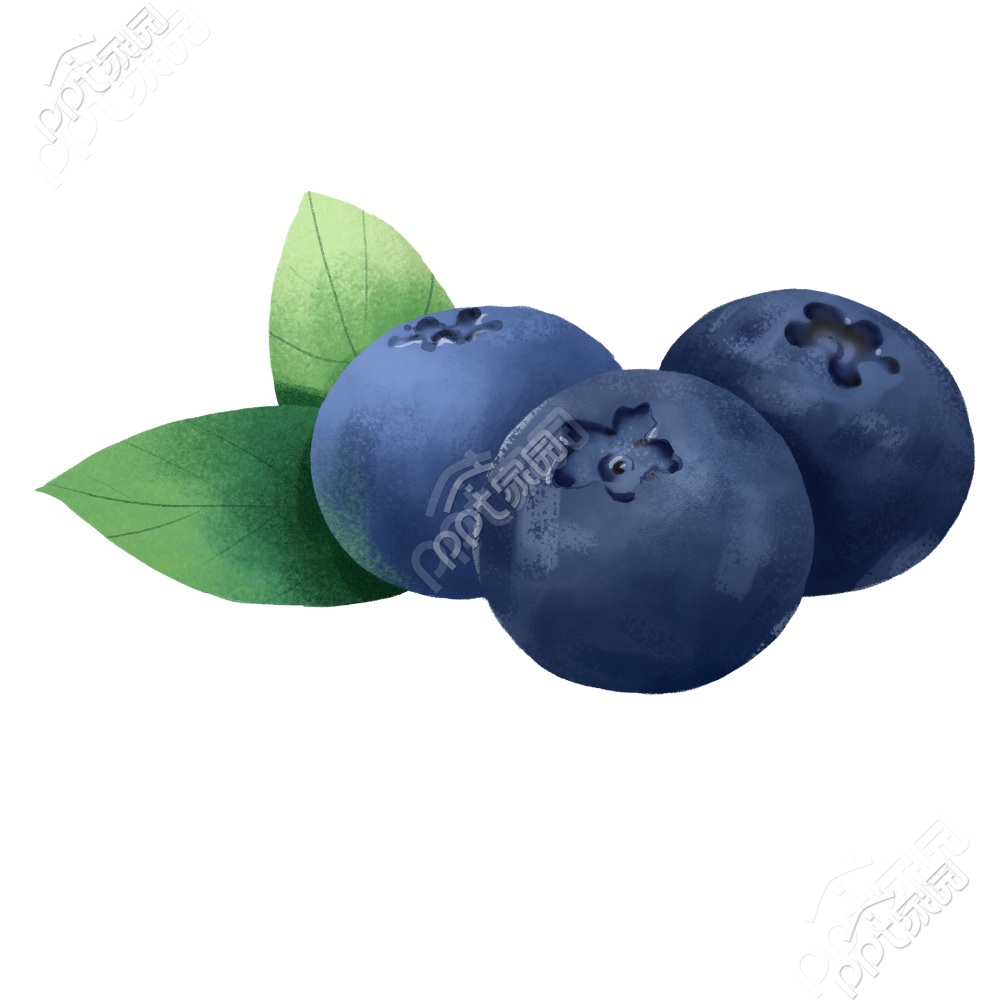 蓝莓照片下载推荐