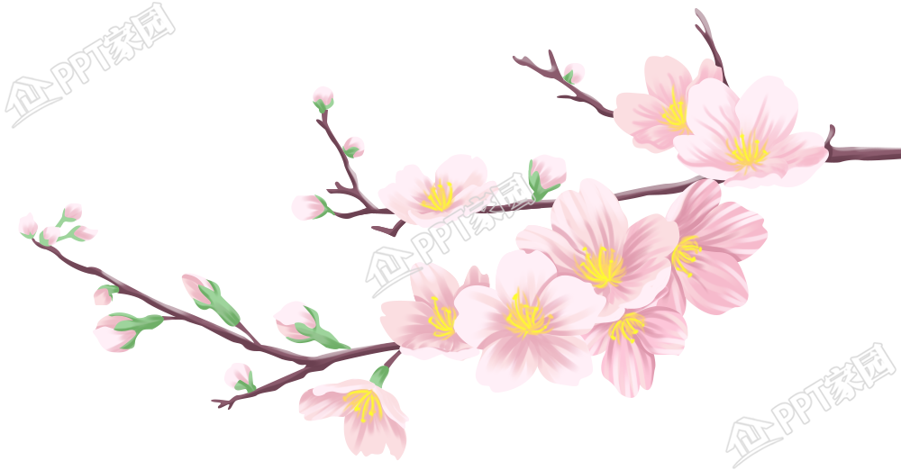 Cartoon hand-painted cherry blossom branch illustration download recommended